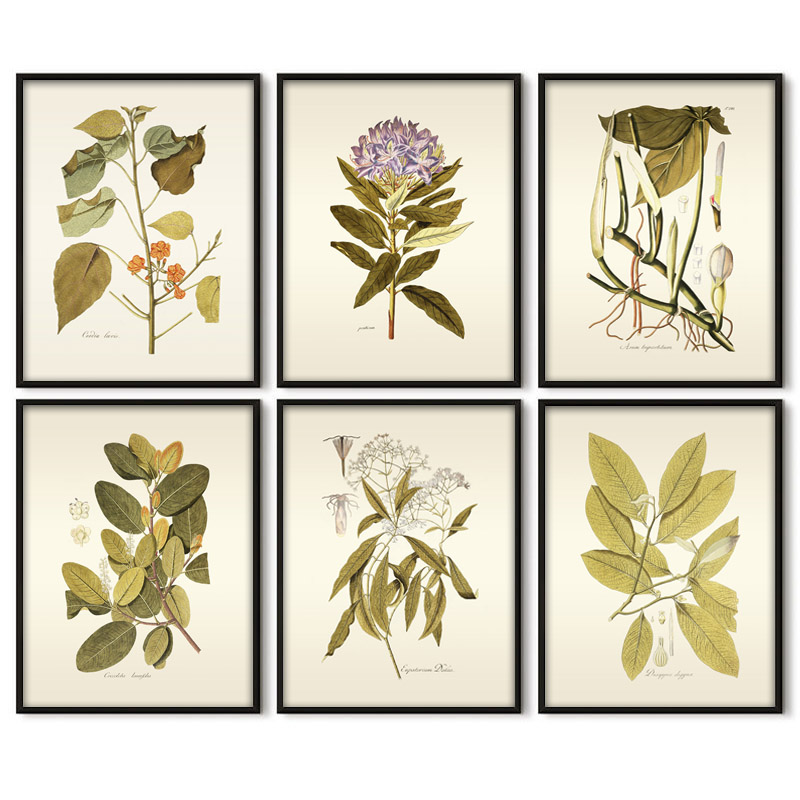 Planta herbácea arte da parede - Office Furniture York avaliação e preço